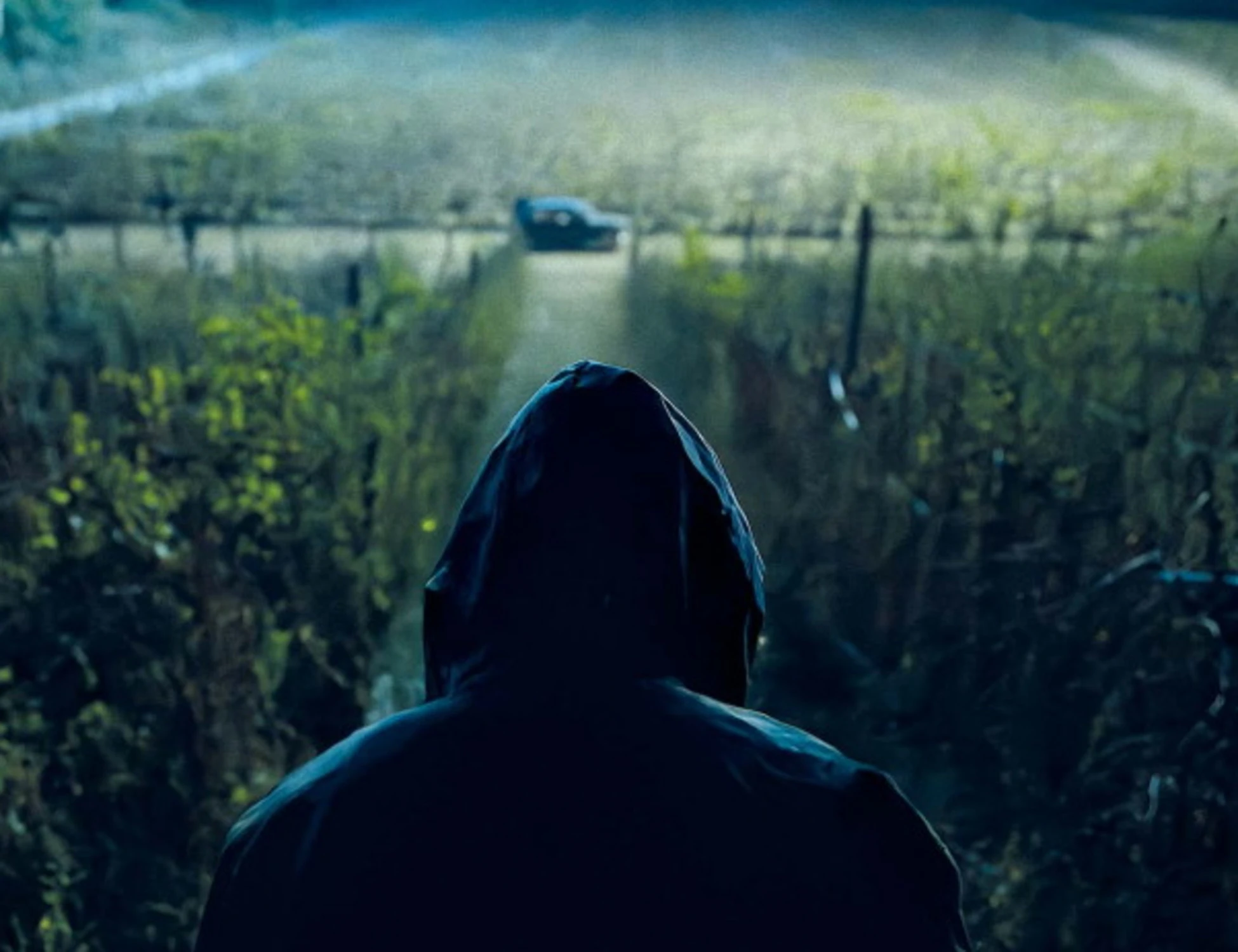 "Il Mostro" non si vede mai. Ma ti turba