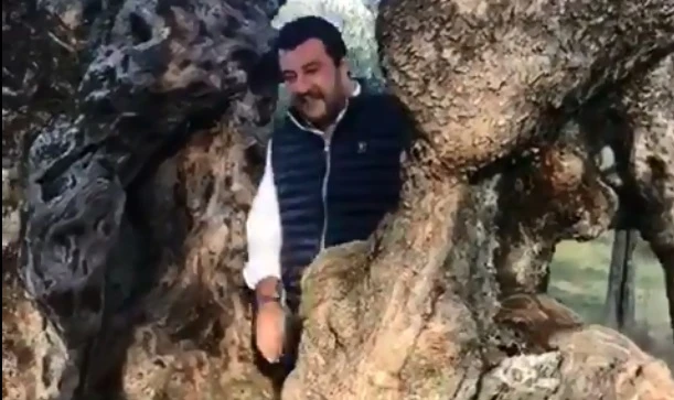 Guido Crosetto, lo sfottò a Matteo Salvini che sbuca dall'ulivo: "Alberto Angela sta tremando"