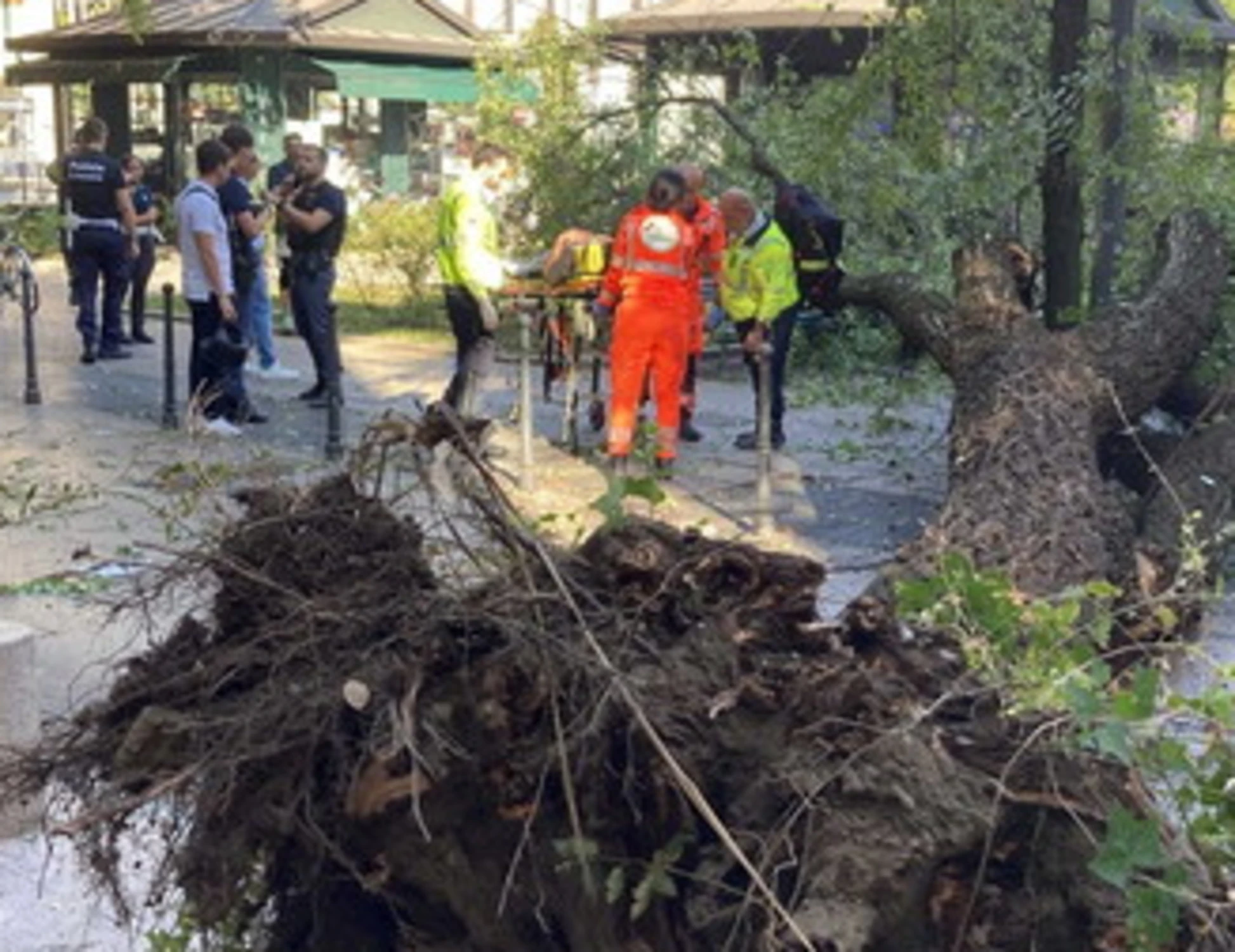 Milano, "già segnalato, eravamo terrorizzati": crolla un albero e ferisce tre passanti, uno è grave