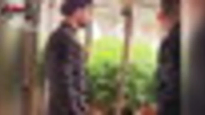 A Platì sotto una stalla un bunker con una piantagione di marijuana