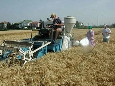 Società agricole, no opzione su reddito