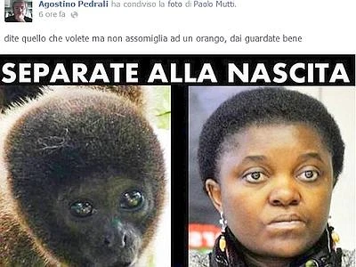 Nuovi insulti contro ministro Kyenge Assessore leghista: "Sembra un scimmia"