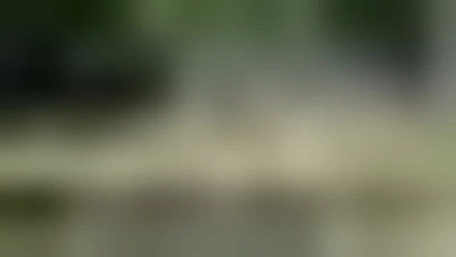 India, 900mila persone colpite e 1.800 villaggi sommersi