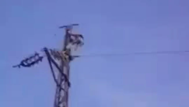 270x360