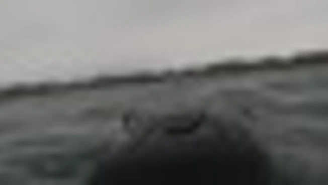 Sul Baltico Nato Steadfast Dart 26: ecco il momento clou dal mare