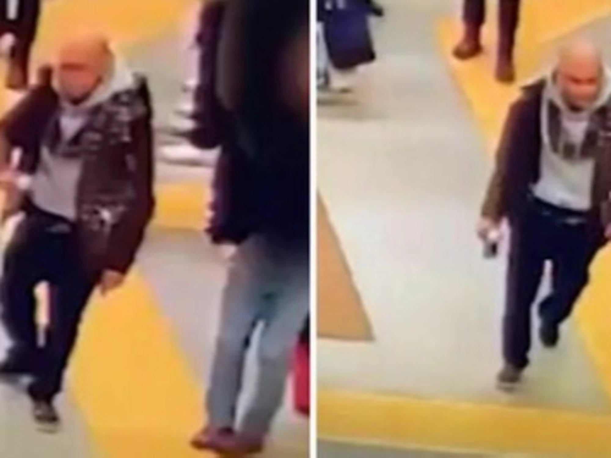 Marin Jelenic, fermato e rilasciato dopo l'omicidio del capotreno: le ultime drammatiche ore