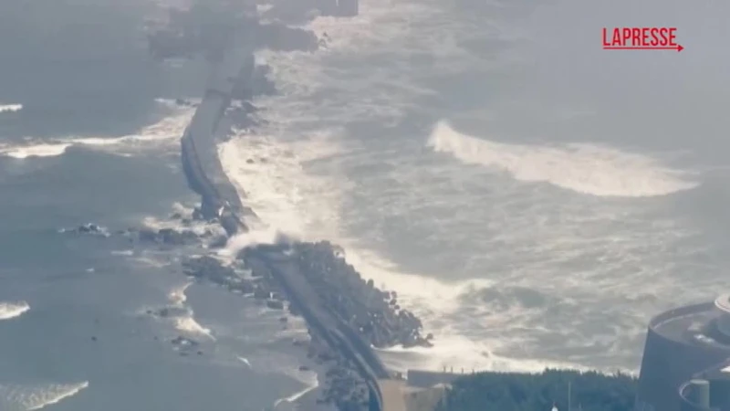 Tsunami, le prime onde colpiscono Giappone e Hawaii: panico globale