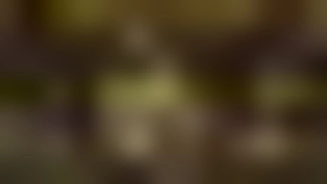 https://media.liberoquotidiano.it/1pnmlyMRCPbqw9ZM7aiXmIyFIX0PmC9RAWGsjWcSm4o/width:800/quality:90/aW1hZ2VzLzIwMjUvMTAvMjIvMDgxMTE2MjA2LTliOTc2ZGI4LTRmZjQtNDFkOC1iNTg1LTE3ZGQxYjBmZDM1Mi5qcGc.webp