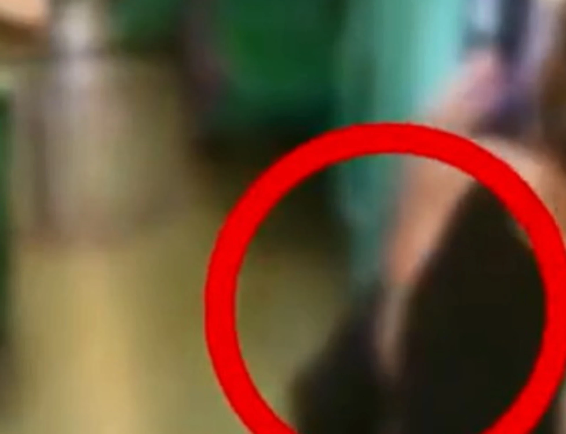 Milano, il video-choc del cieco massacrato dai marocchini: immagini forti