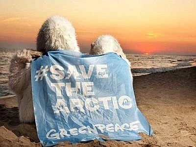 'Save the Arctic', parte da Ostia il tour estivo di Greenpeace