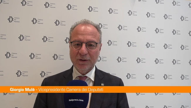 Mulè "Stadio e città di Palermo devono ospitare gli Europei del 2032"