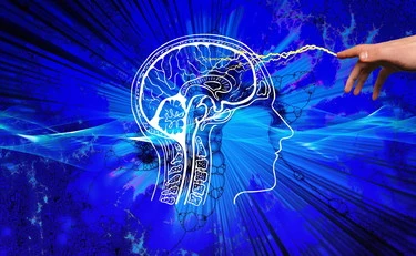 Il cervello elimina i neuroni con anomalie genetiche: la scoperta che svela un meccanismo fondamentale dello sviluppo