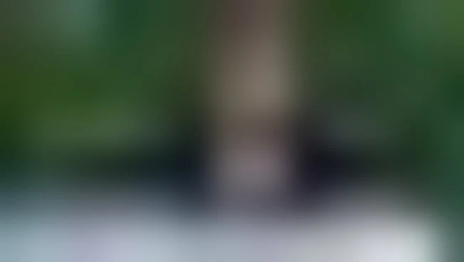 https://media.liberoquotidiano.it/1vlRNWQp8Ua0YynN95-0mhYcsTSLZ20BX7gcvkOrzjg/width:800/quality:90/aW1hZ2VzLzIwMjUvMDkvMTEvMTQzOTUyMjc2LTJhMzljMDFjLTY4MjgtNDRjNy1hNzIwLWU1NjJjZmJhN2QzMS5qcGc.webp