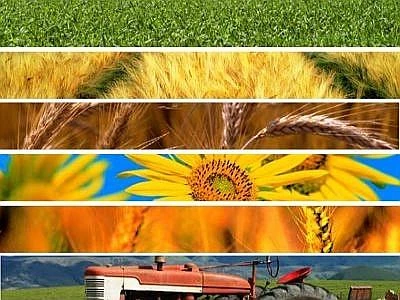 Il falso agroalimentare 'made in Italy' all'estero vale 60 miliardi l'anno