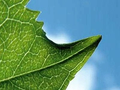 Il futuro del fotovoltaico approda a Milano, dall'8 al 10 maggio "Solarexpo"