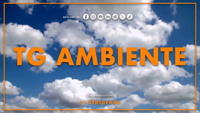 Tg Ambiente - 18/10/2026