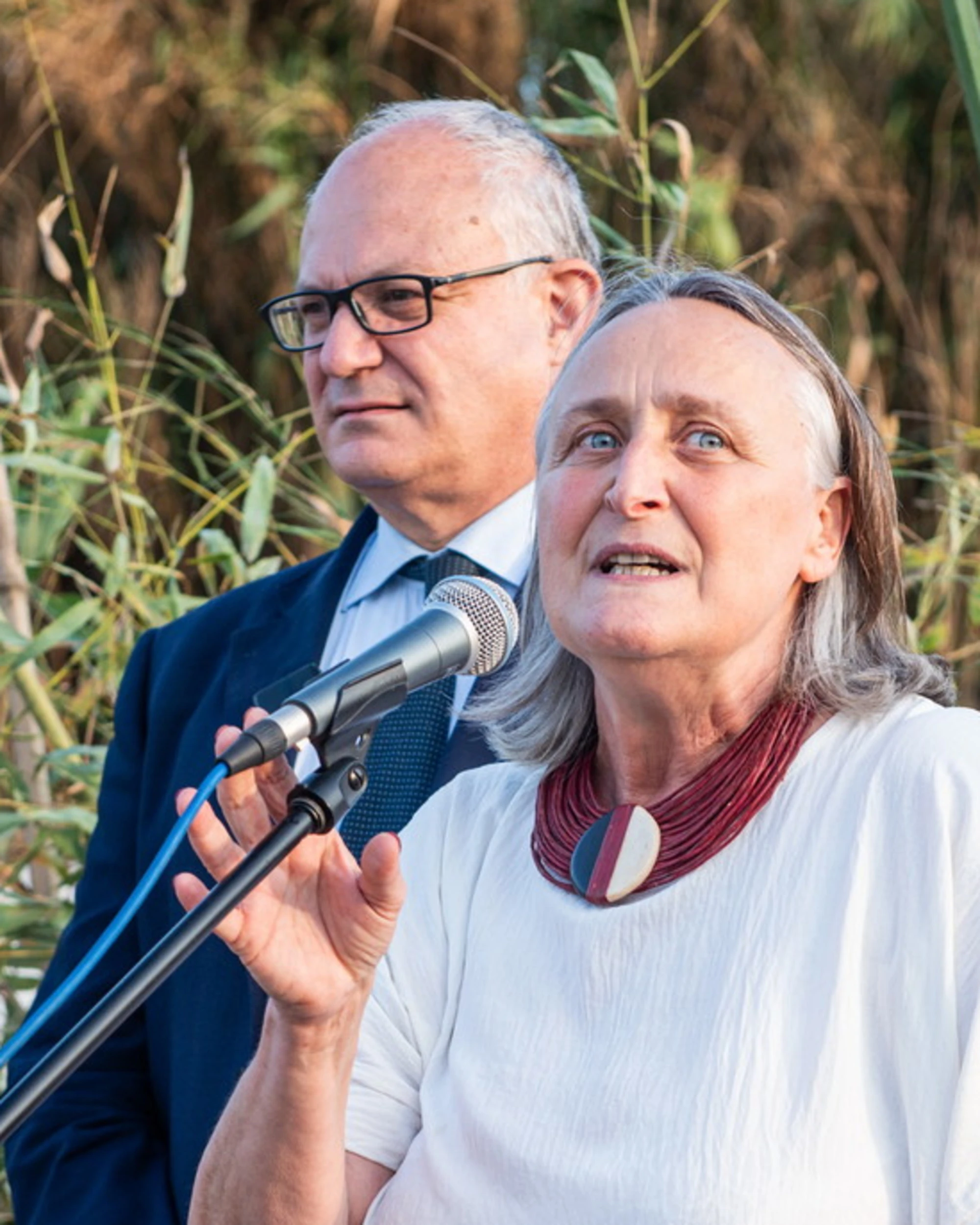 Roma, blatte nella Capitale? Soltanto percepite