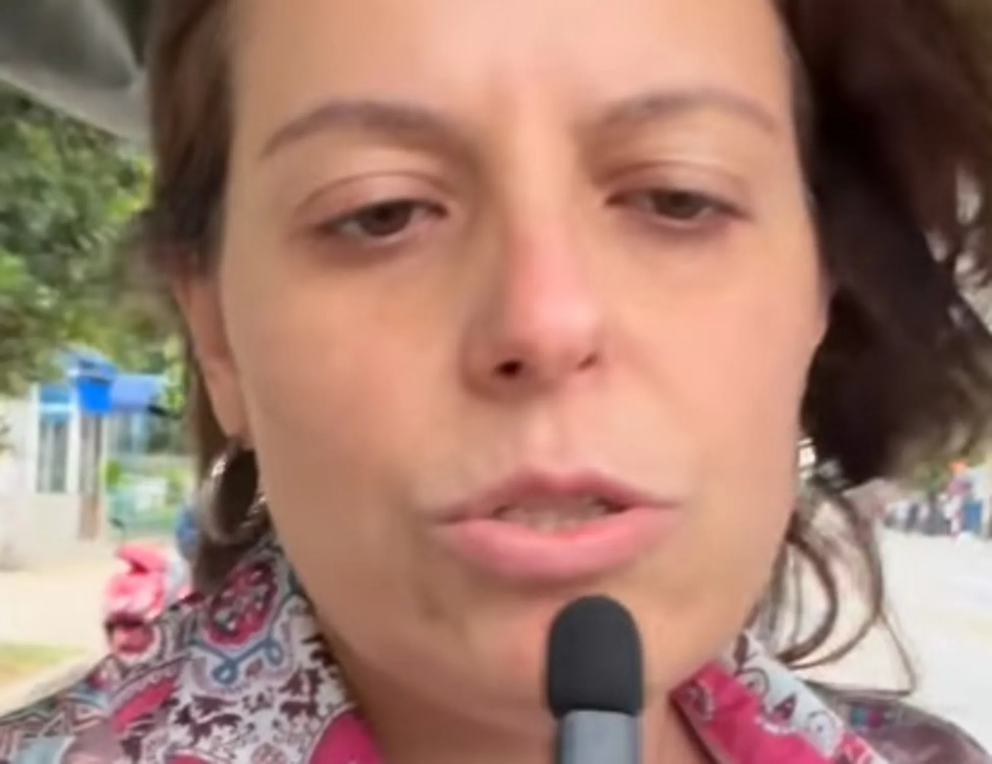 Ilaria Salis, "intimidazioni contro FdI che ha sollevato il caso dell'assistente"