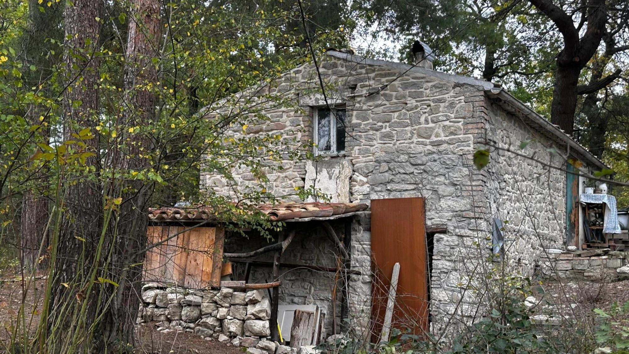 Famiglia nel bosco, l'Anm attacca Meloni e Salvini: il caso deflagra