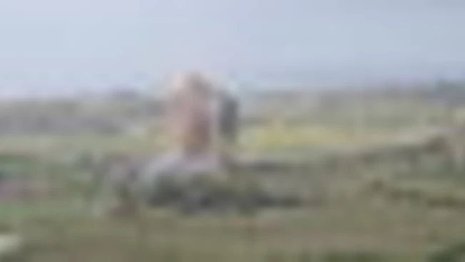 Libano, Idf hanno bombardato ponte di Qasmiyeh tra Sidone e Tiro