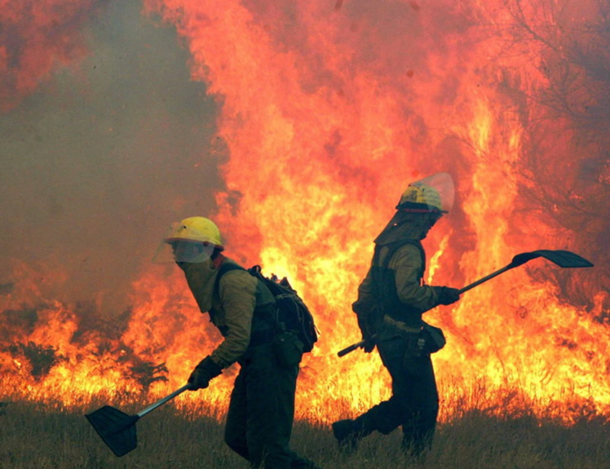 Se la sinistra europea brucia con l'emergenza incendi