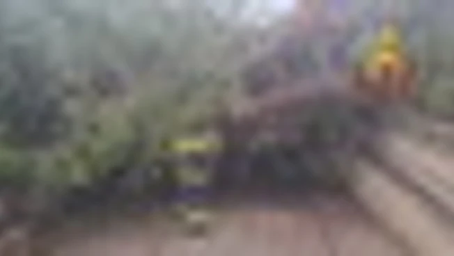 Maltempo Centro-Sud Italia: 1.000 interventi dei Vigili del fuoco