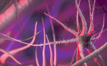 Tumori e infiammazioni, così "si spengono" le cellule