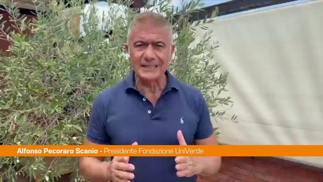 Pecoraro Scanio "Arrestare incendiari e sostenere sindaci e agricoltori"