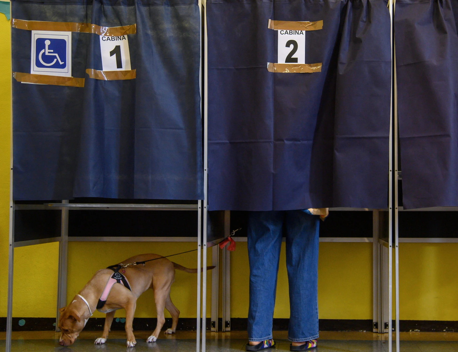 Referendum, alle 19 affluenza al 16,16%