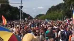 Paolo Becchi contro il Tg1 sulla protesta di Berlino: "In piazza negazionisti ed estremisti? Tutto falso, siete miserabili"