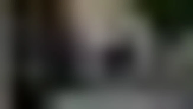 https://media.liberoquotidiano.it/2gGupoGVMqkFbJCQ3NHBwh9rZNlGP7WlvDuif1VNB_4/width:800/quality:90/aW1hZ2VzLzIwMjUvMDkvMjkvMTYxOTExNDc2LTg0NGEyZmQ4LTAzYzgtNDE1MC04YTBmLTNmZjViZWNjMGY0ZC5qcGc.webp