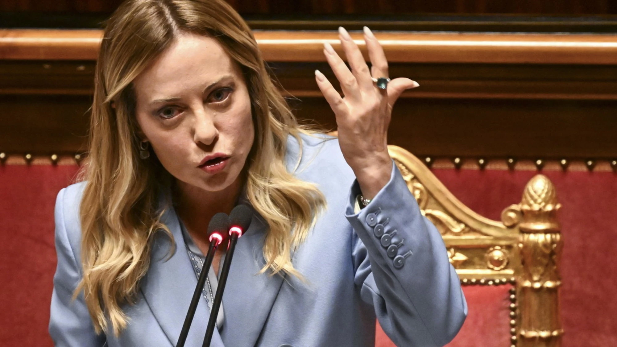 Giorgia Meloni: "Siher libero, decisione vergognosa del Gip". Siete d'accordo?
