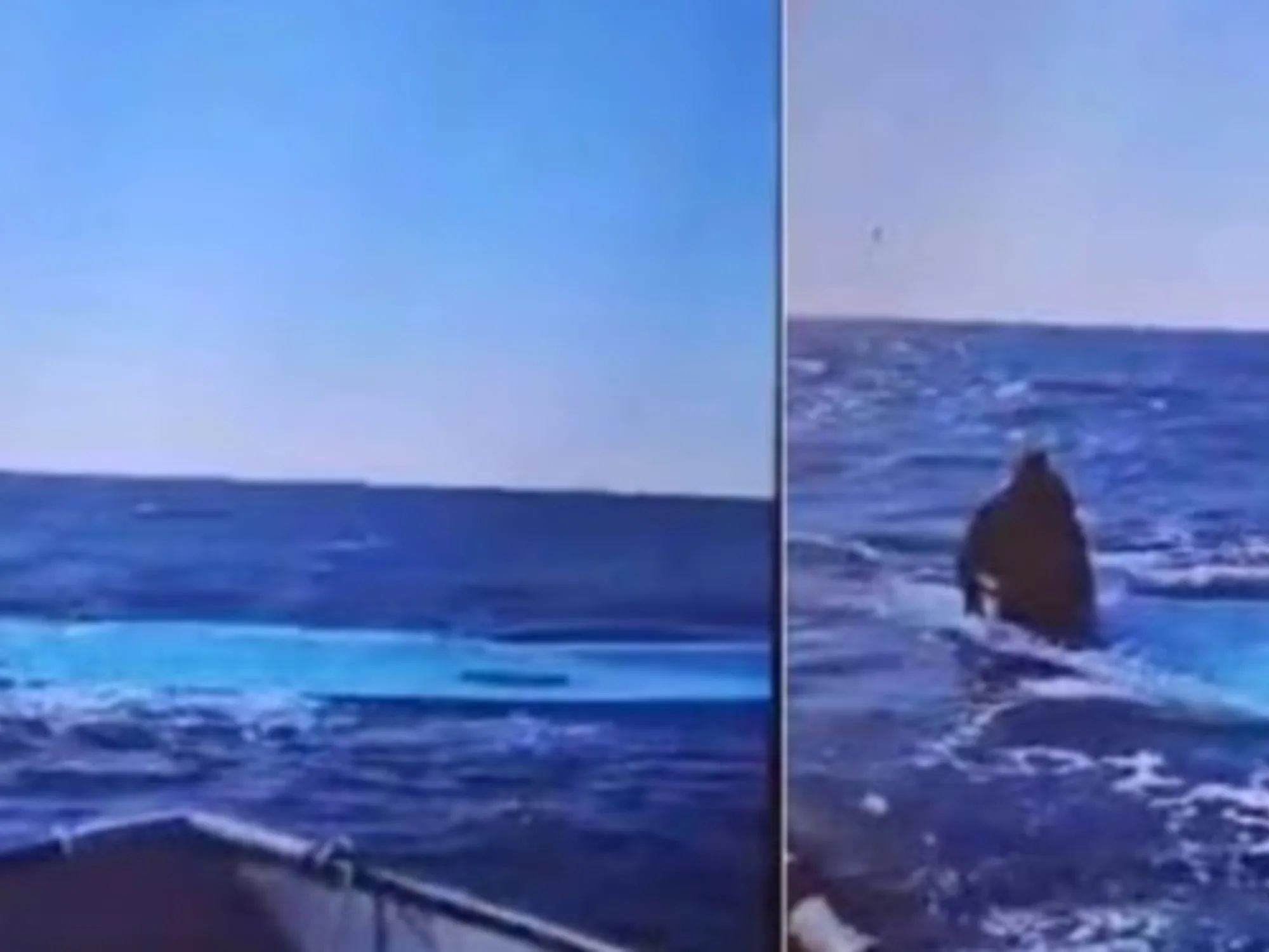 Leggi l'articolo: 116 migranti morti. Ong e Bonelli: "Frontiere aperte"