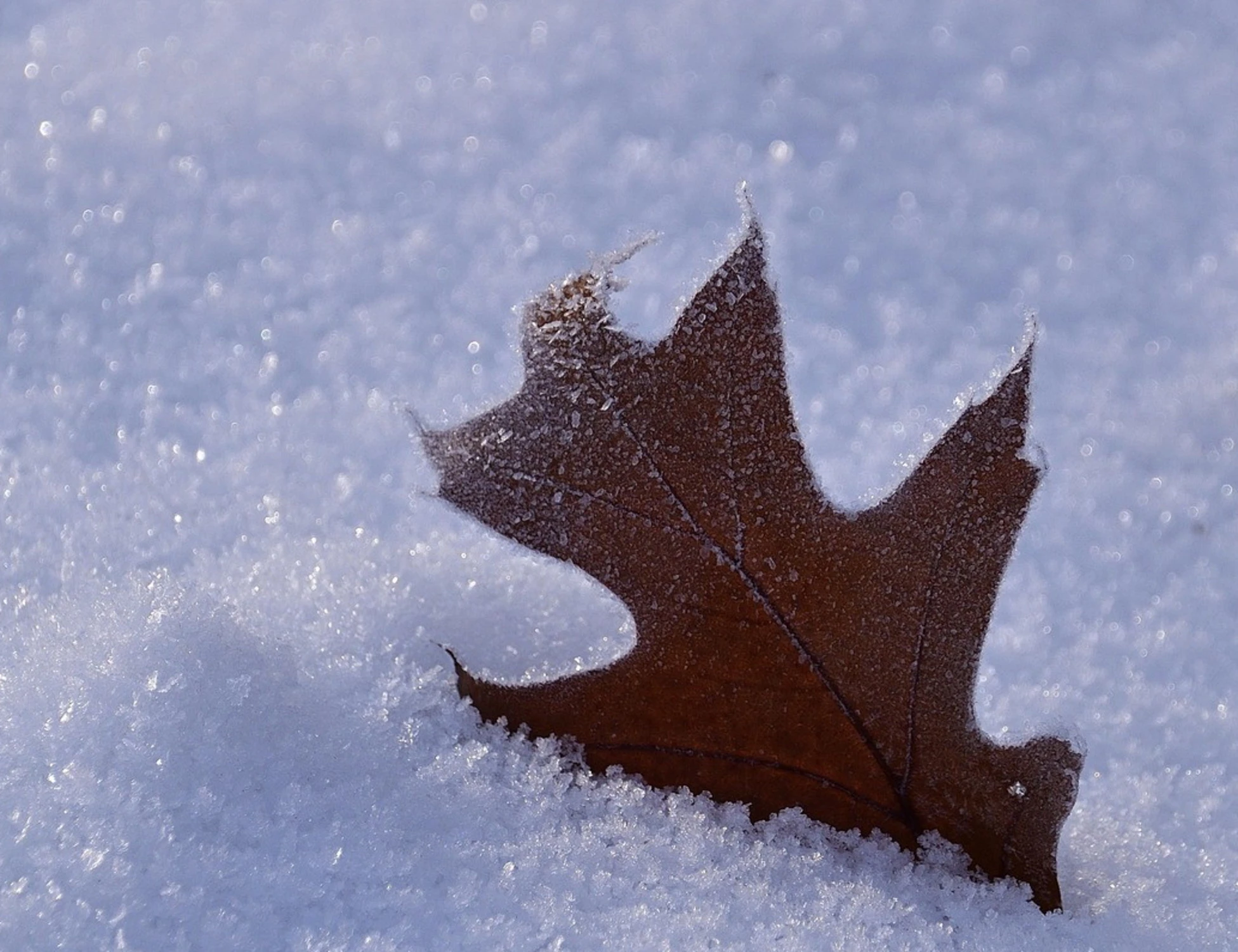 Meteo, la clamorosa previsione di Giuliacci: "Dove nevicherà"