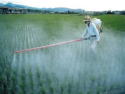 Ortofrutta 'regolarmente' contaminata, in linea con il trend degli ultimi anni