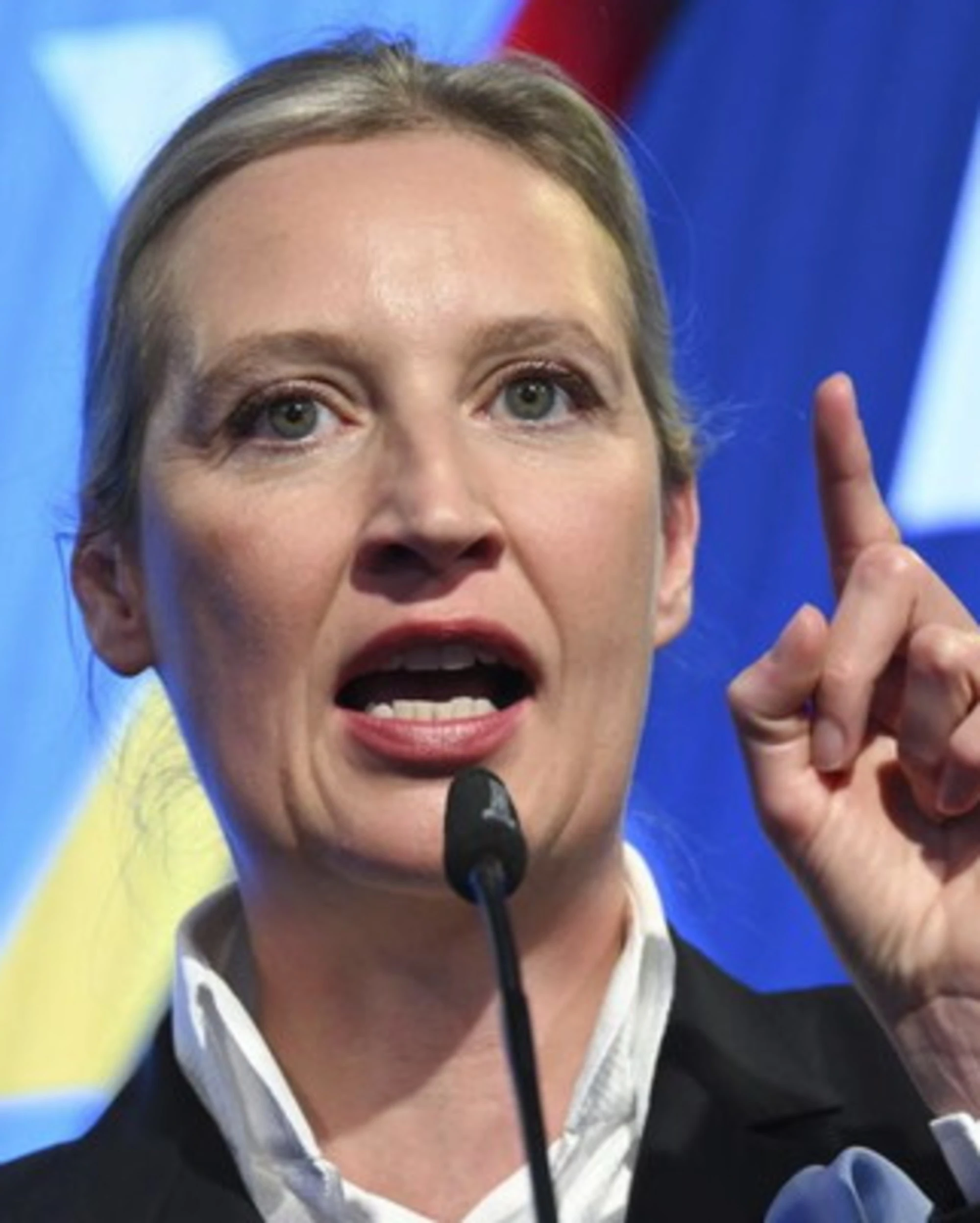 Germania, Afd dopo il flop di Merz: "Ora nuove elezioni"