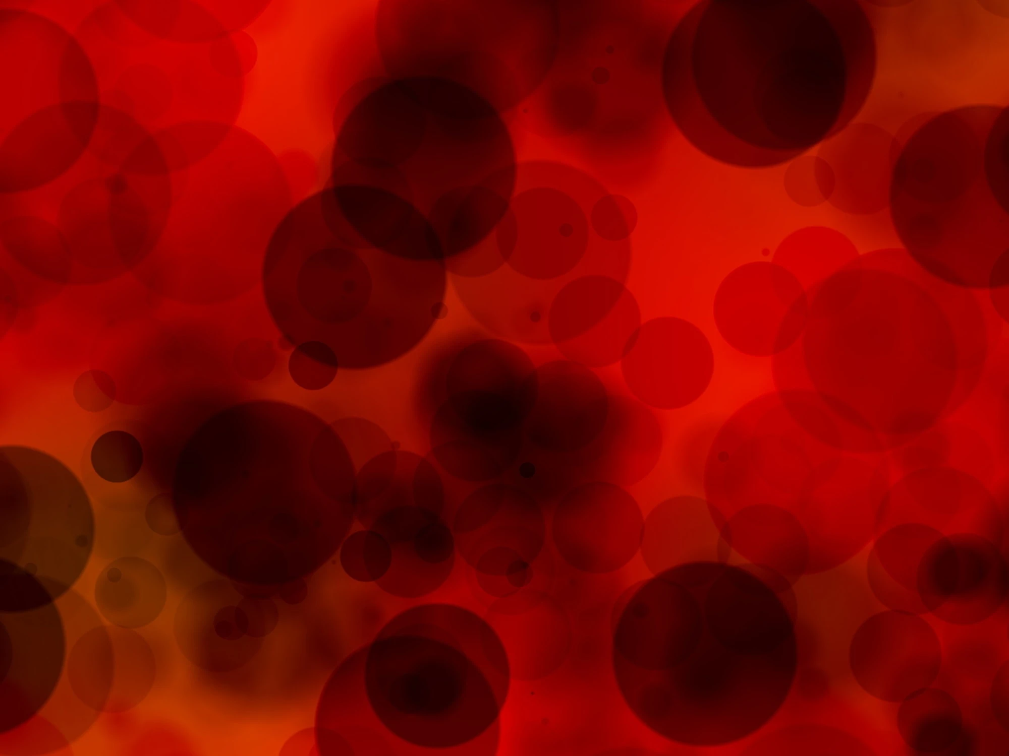 Tumori del sangue la ricerca sulle cellule immunitarie  "a lunga vita" 