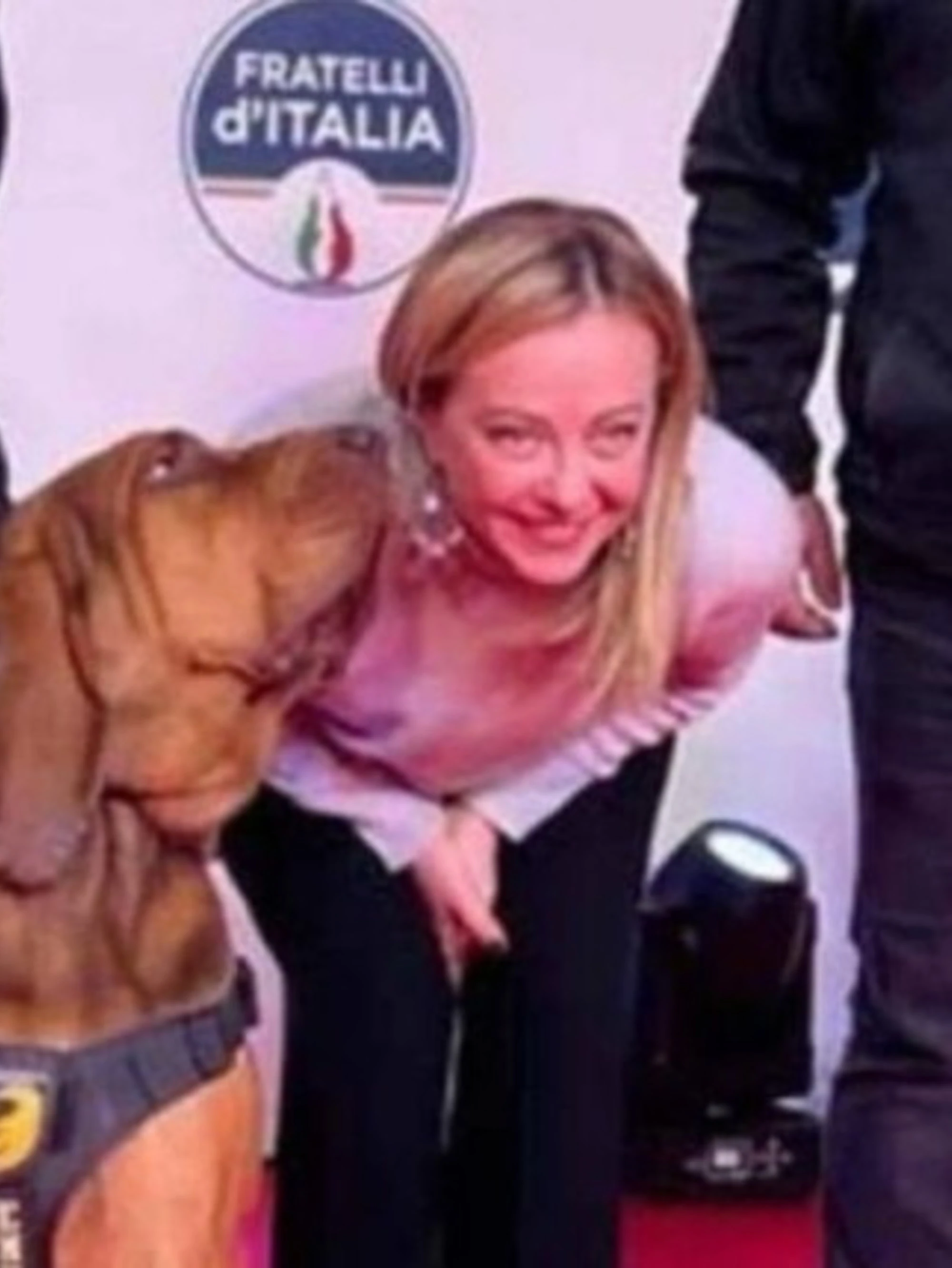 Cane Bruno, l'addestratore: "Io ero il bersaglio, so chi è stato"