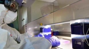 Coronavirus, il bollettino dell'8 settembre: 1.370 nuovi casi, dieci morti. Su i ricoverati, allarme-Campania