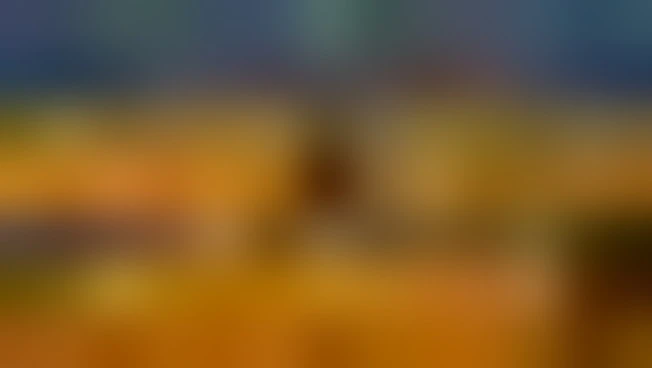 Camera, pace, transizione democratica e crisi umanitaria Sudan