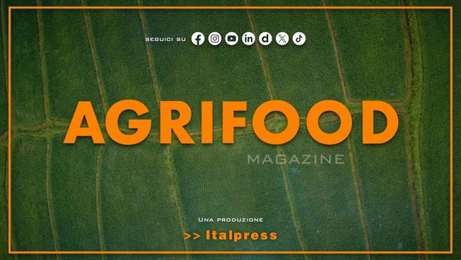 Agrifood Magazine - 16/9/2026