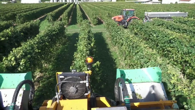 Coltivaitalia, nuove risorse per l'agricoltura