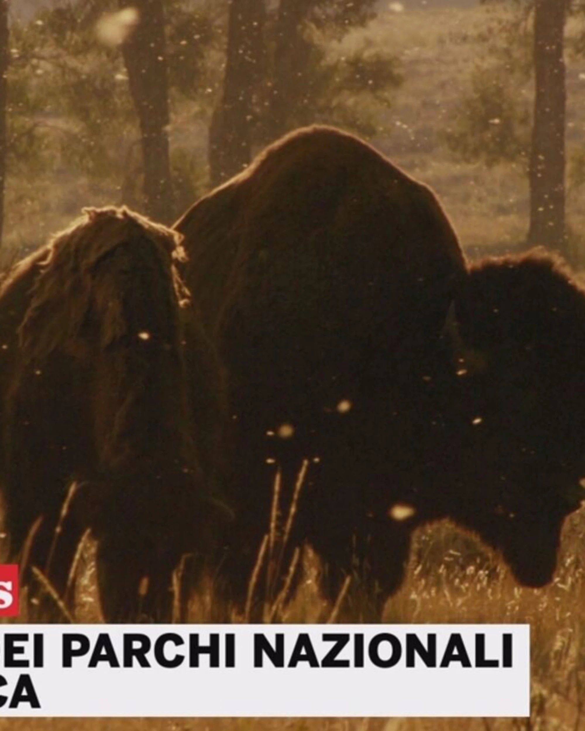 Canale 5, tutti pazzi per i parchi Usa