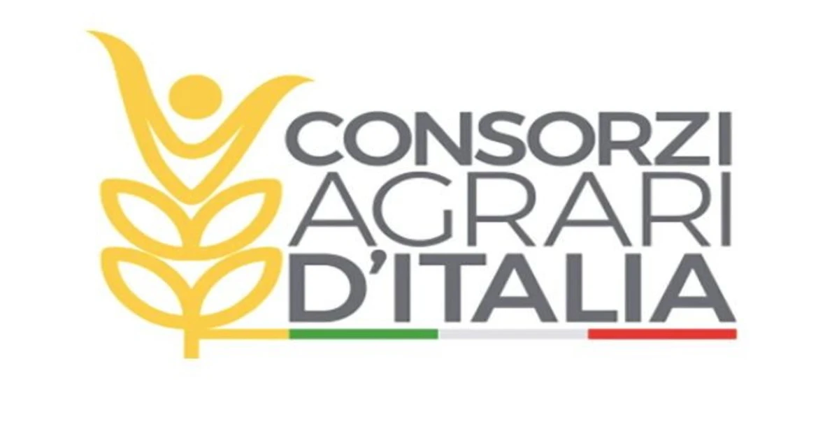 CAI, Il Consiglio di amministrazione ha approvato il progetto di bilancio di esercizio e il bilancio consolidato al 31 dicembre 2023