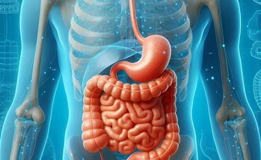 Cancro, ecco l'alimento che "blocca" il tumore alla prostata