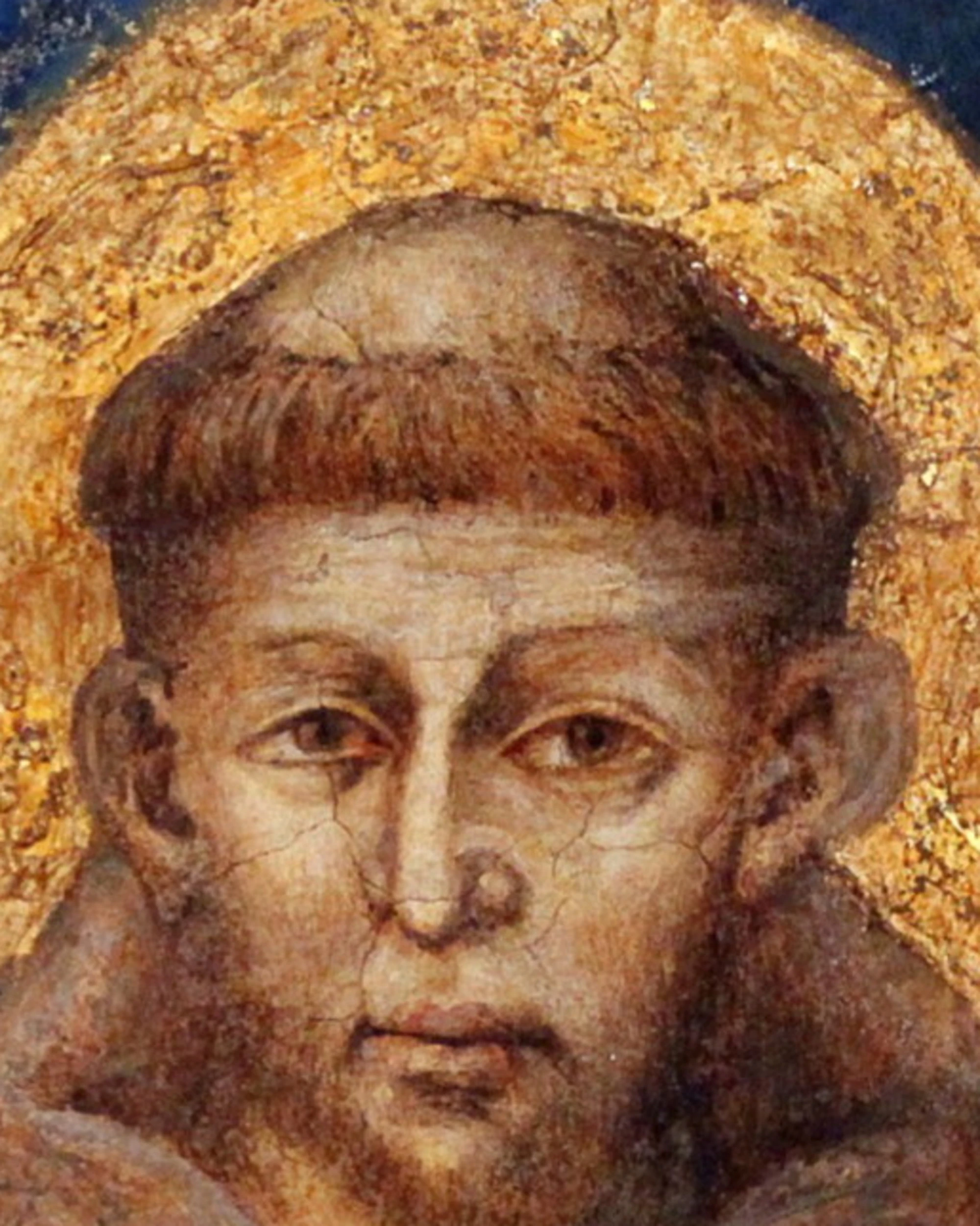 Torna San Francesco e la modernità medievale