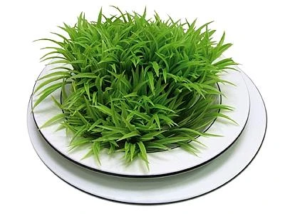 Vegani anche solo per un giorno a settimana per salvare la Terra