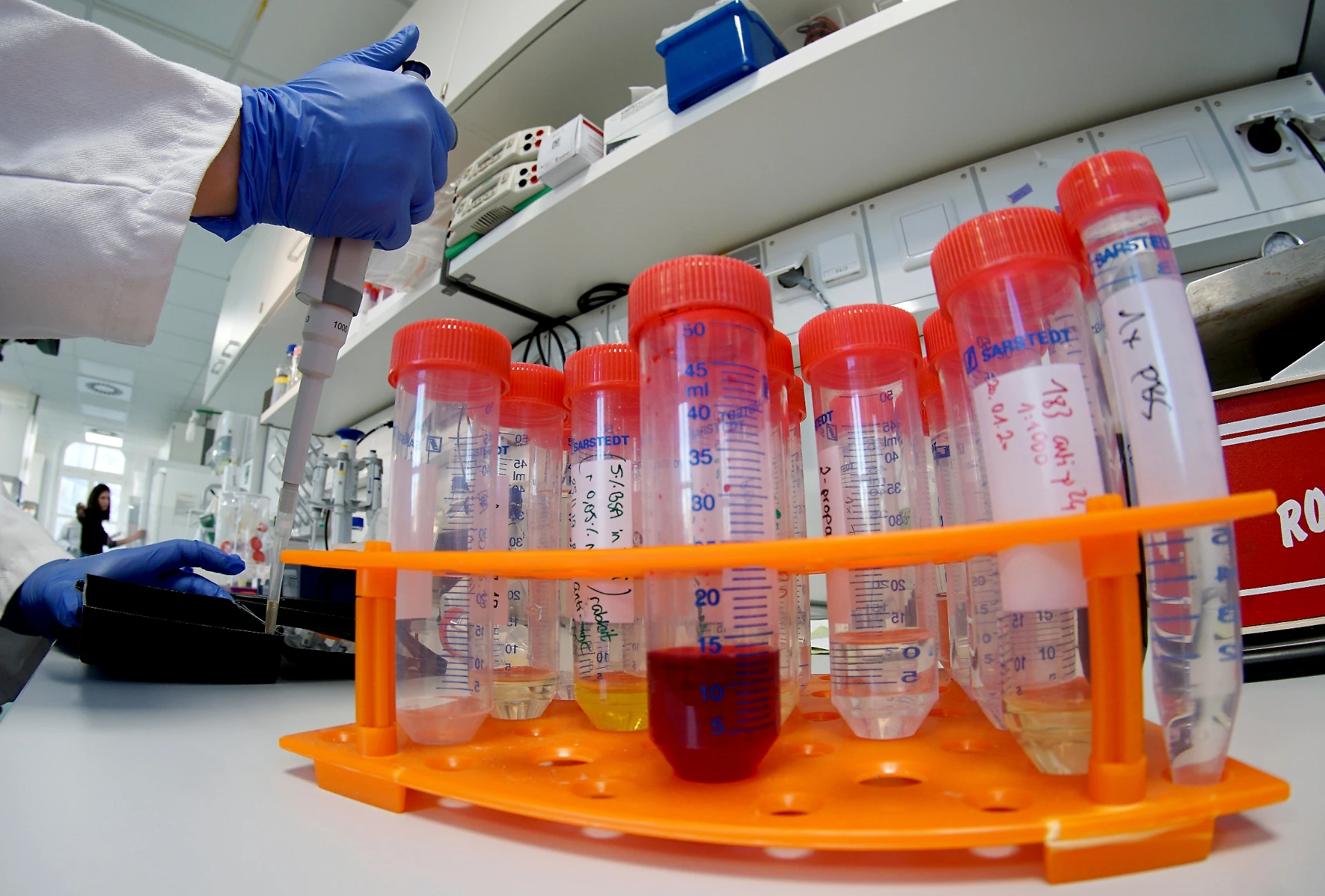 Coronavirus ribattezzato Covid-19, l'indiscrezione: per non turbare i paesi asiatici