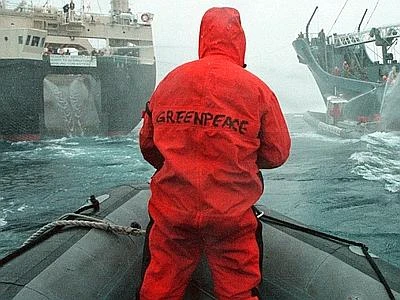 Undici Nobel per la pace scrivono a Putin: attivisti di Greenpeace non sono pirati