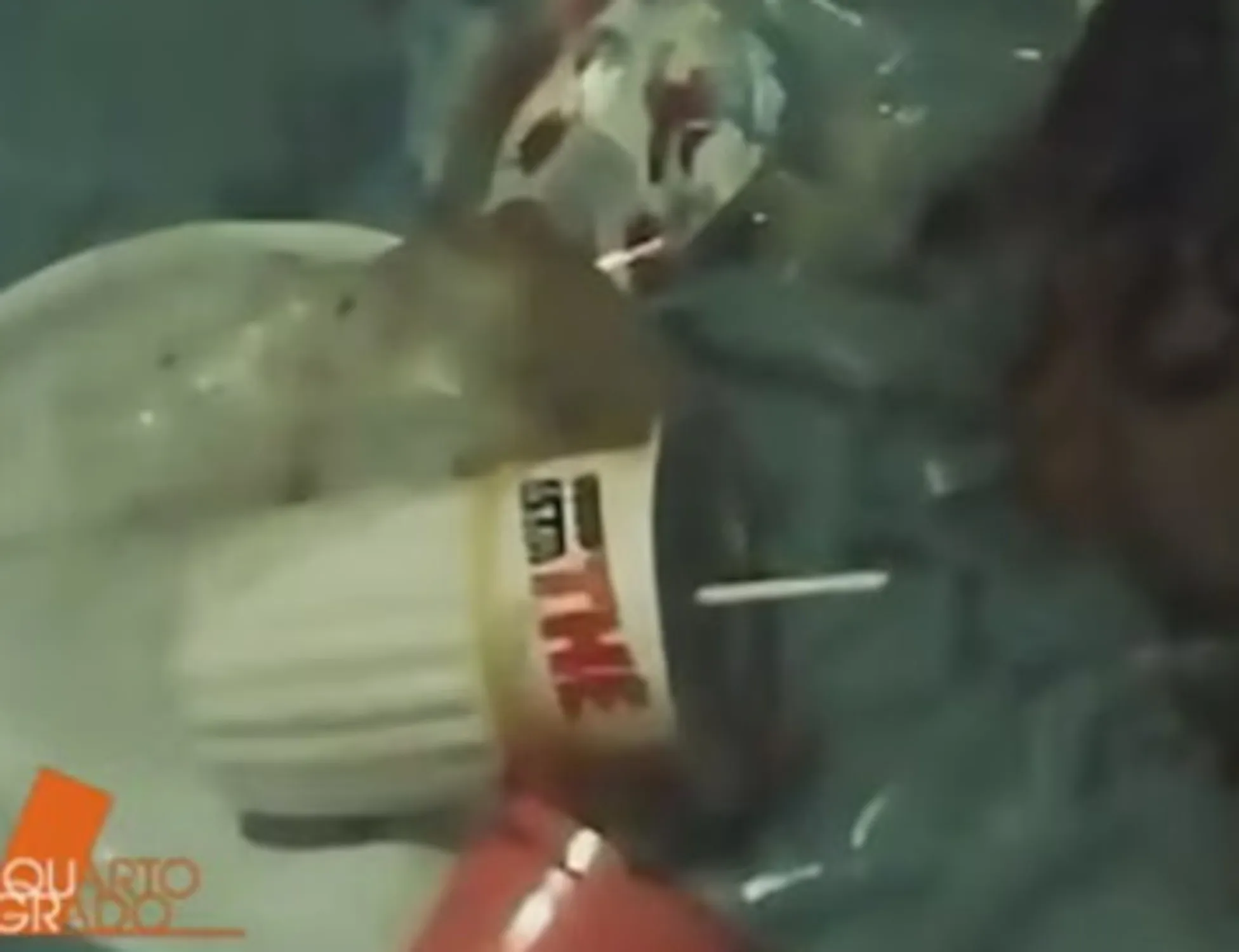 Leggi l'articolo: "Di chi sono le altre tracce": Garlasco, la verità nascosta